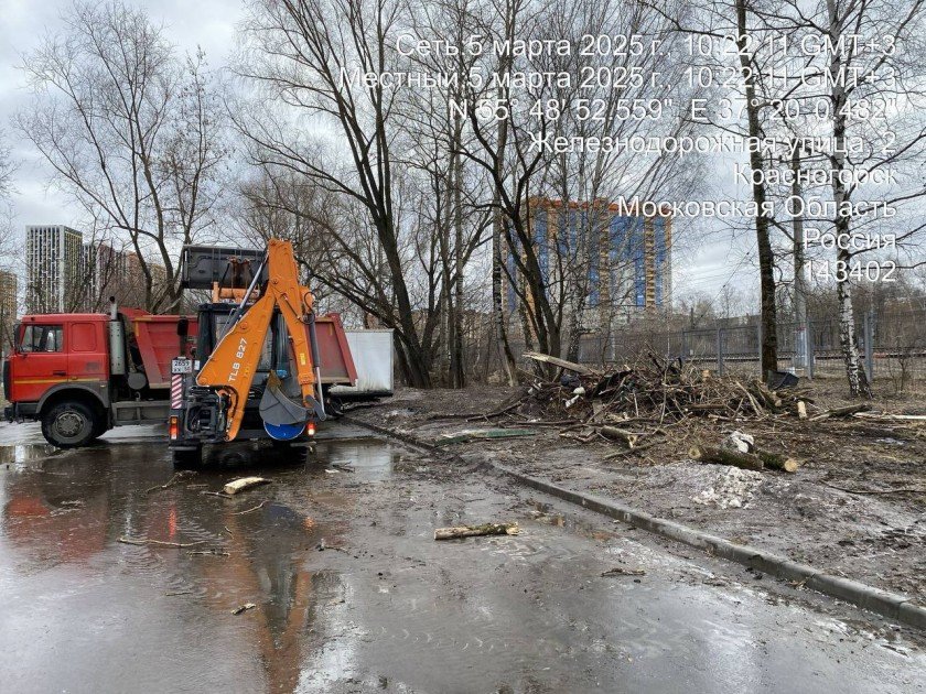 В рамках подготовки к весеннему сезону сотрудники Красногорской городской службы проводят опиловку аварийных деревьев