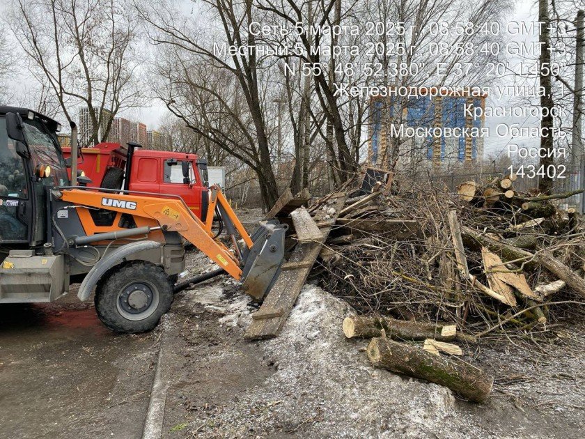 В рамках подготовки к весеннему сезону сотрудники Красногорской городской службы проводят опиловку аварийных деревьев